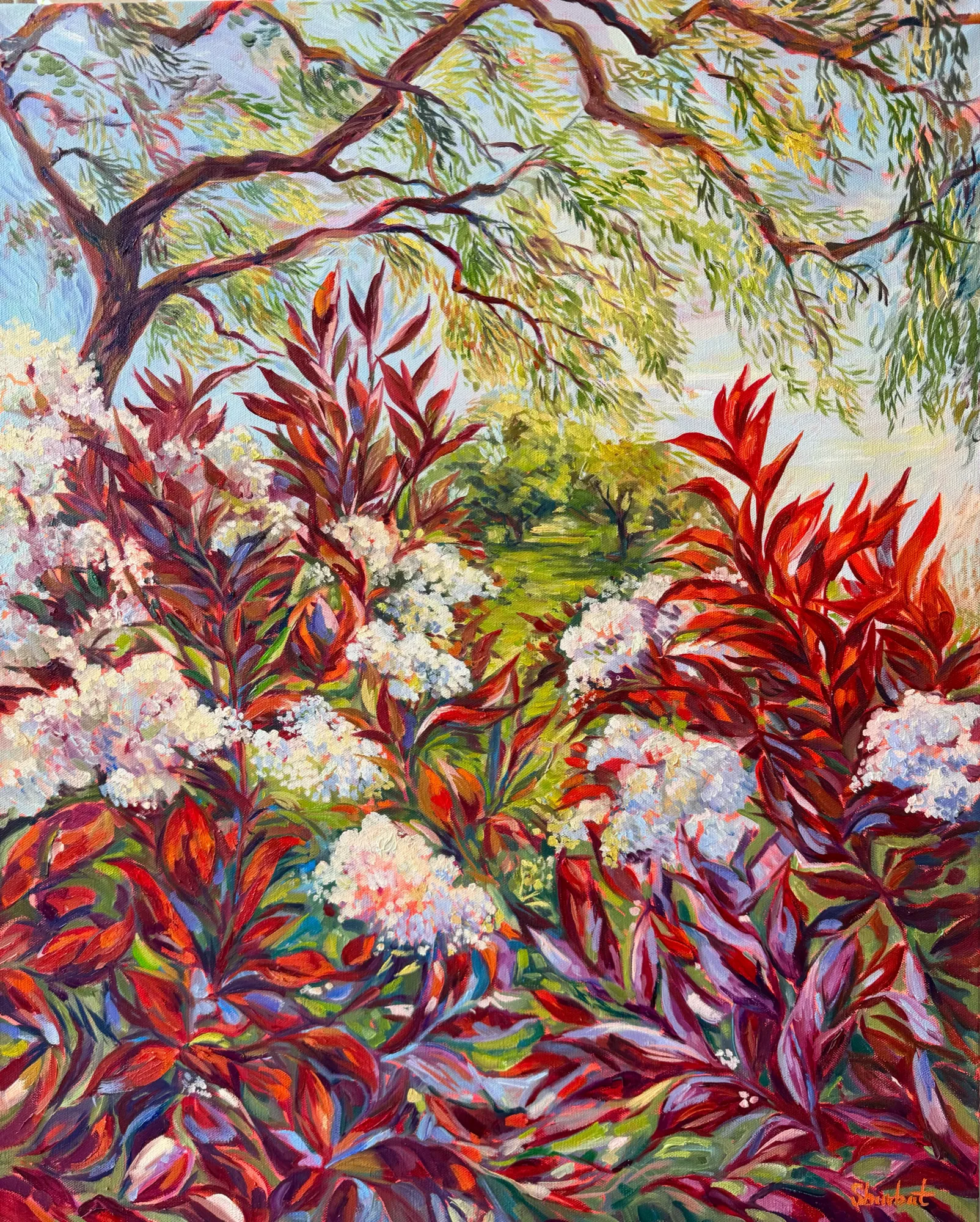 Blushing Blooms