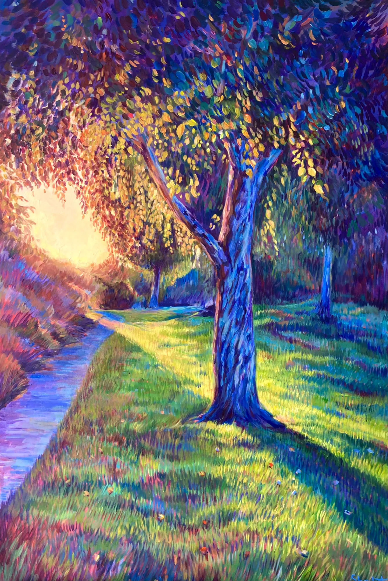 Glowing Dawn — Sofia Sharbat